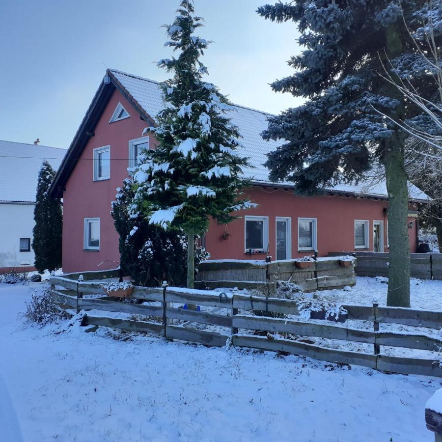 Ferienhaus Rothemuhle Vila Kottmar Exterior foto